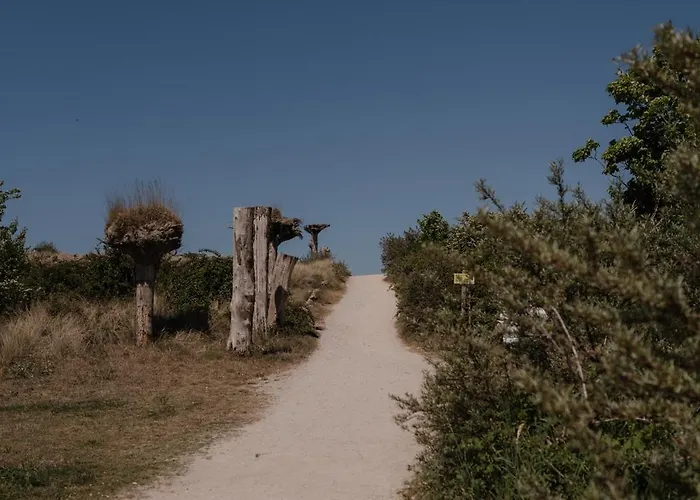 Strand-chalet Luna - 700 Mtr Het Ouddorp